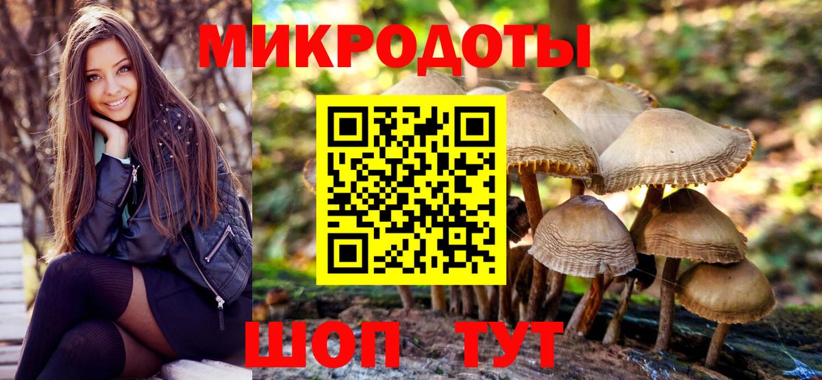 Галлюциногенные грибы Magic Shrooms  Галлюциногенные грибы Psilocybine cubensis  Вход с VPN  Тосно 