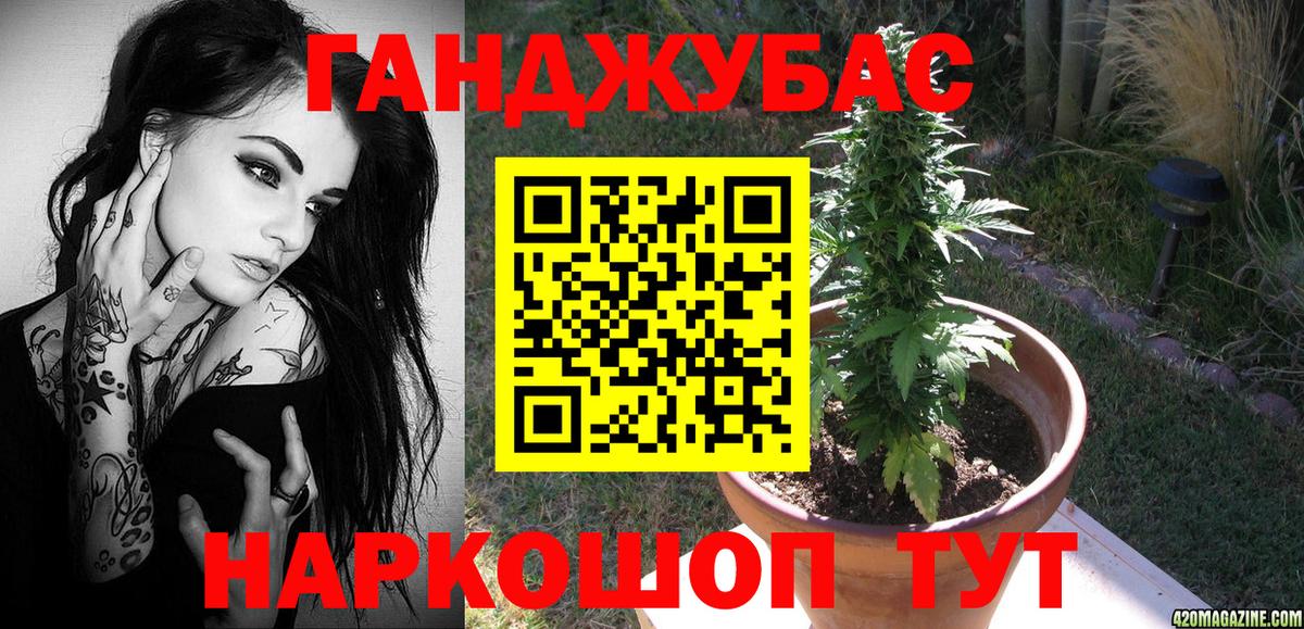 Каннабис SATIVA & INDICA Тосно
